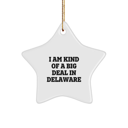 Funny Star Ornament Gifts from Delaware, Inspirational Quote I Am Kind Of A Prime Selection In Delaware, Unique Christmas Decorations for Delaware Home - Image 1