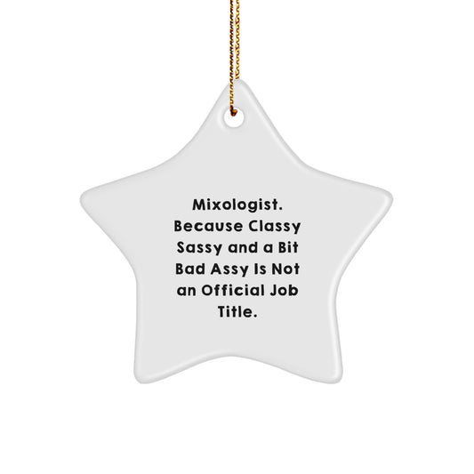 Funny Mixologist Gifts from Friends for Christmas, Star Ornament with Sassy Quote, Gifts for Mixologist - Image 1