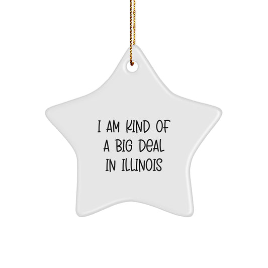 Funny Star Ornament Gifts from Illinois Men to Friends for Christmas, I Am Kind Of A Prime Selection In Illinois, Illinois Star Shaped Decorations - Image 1