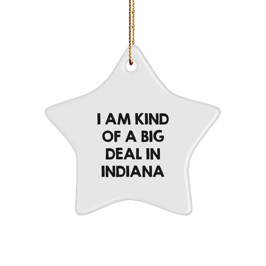 Funny Indiana Gifts from Hoosiers - I Am Kind Of A Prime Selection In Indiana Star Ornament for Christmas Unique Gifts for Men Women Friends Family - Image 1
