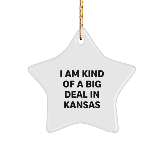 Funny Kansas Star Ornament Gifts from Men to Friends, Christmas Unique Gifts for Women, Star Shaped Kansas Home Decor - Image 1