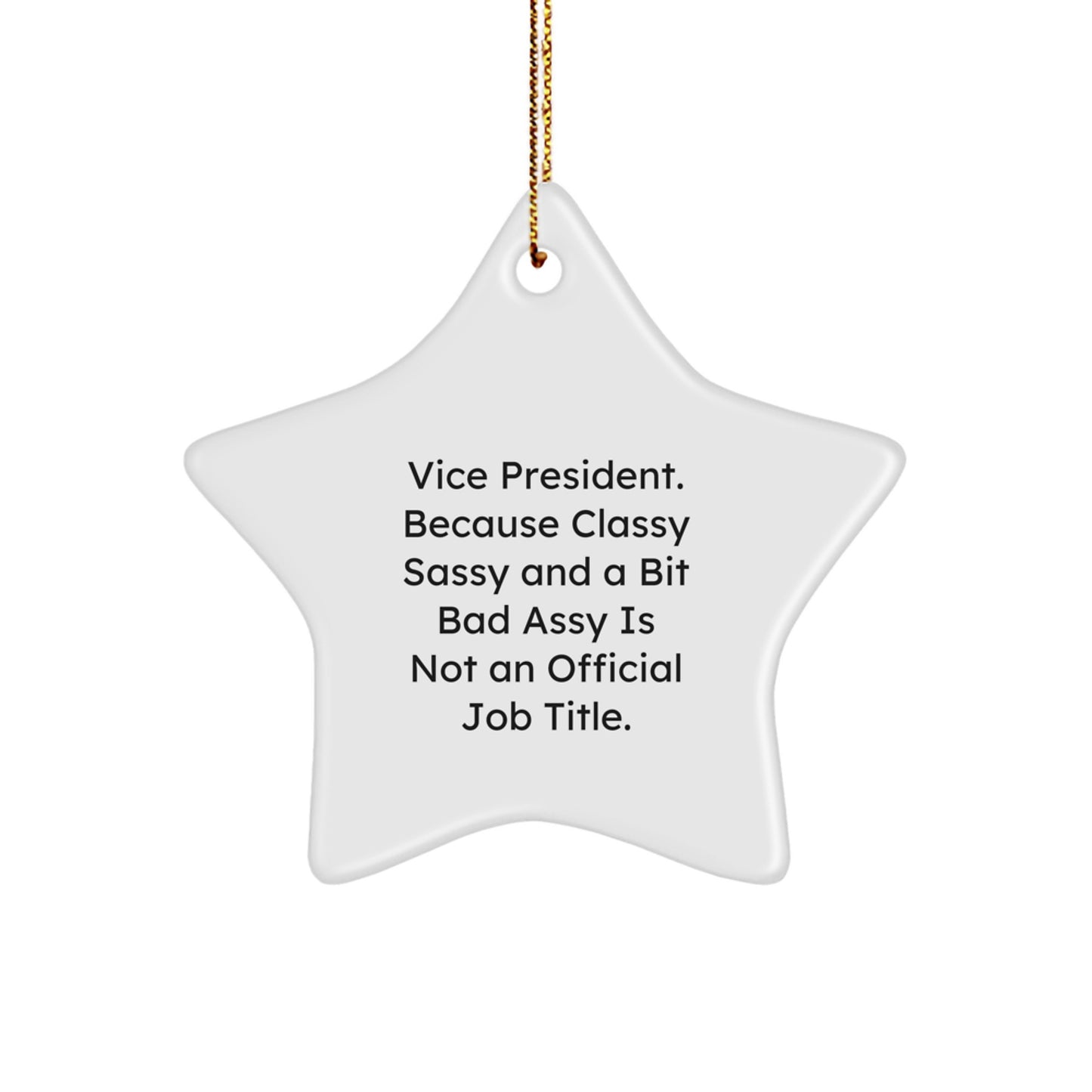 Funny Vice President Star Ornament for Men, Gifts from Friends with Sassy Humor Christmas Unique Gifts for Vice President - Image 1
