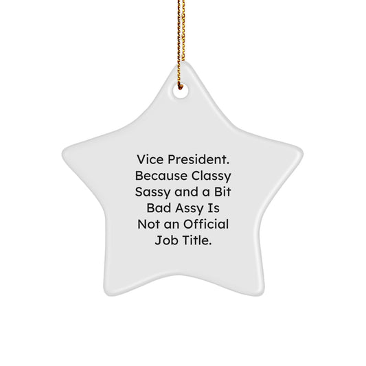 Funny Vice President Star Ornament for Men, Gifts from Friends with Sassy Humor Christmas Unique Gifts for Vice President - Image 1