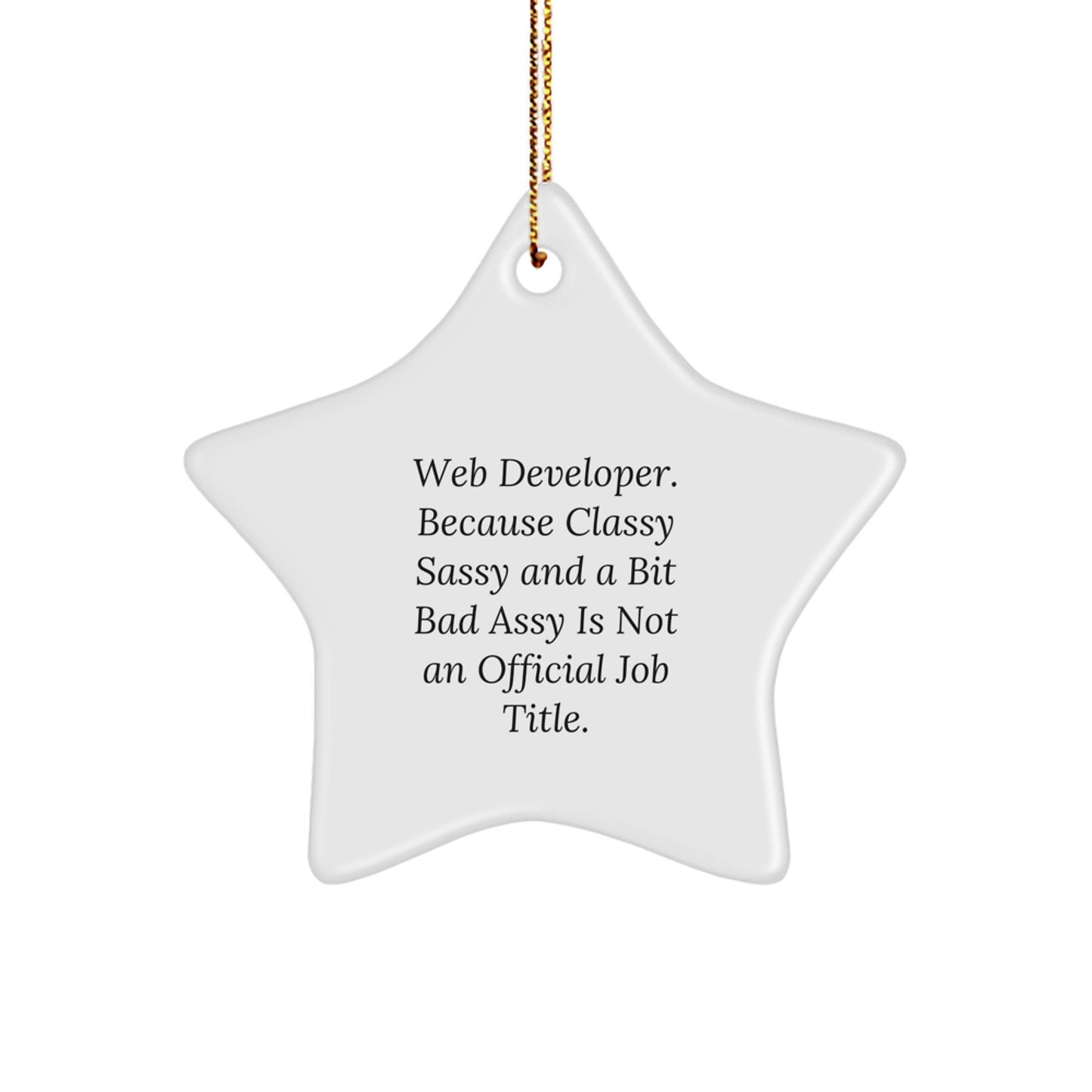 Funny Web Developer Christmas Unique Gift - Star Ornament for Colleagues, Friends, or Family - Web Developer Humor Decorations from - Image 1