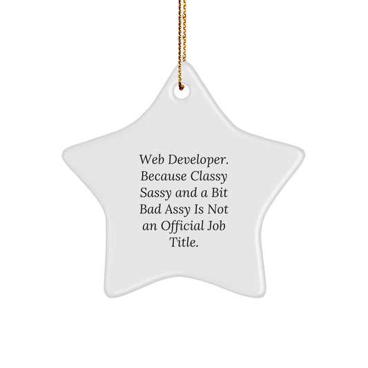 Funny Web Developer Christmas Unique Gift - Star Ornament for Colleagues, Friends, or Family - Web Developer Humor Decorations from - Image 1
