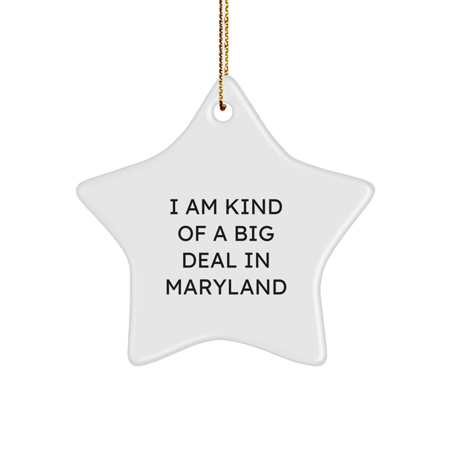 Maryland Star Ornament Funny Gifts from Friends to Family for Christmas - Image 1