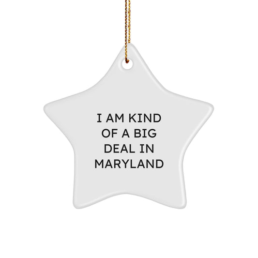 Maryland Star Ornament Funny Gifts from Friends to Family for Christmas - Image 1