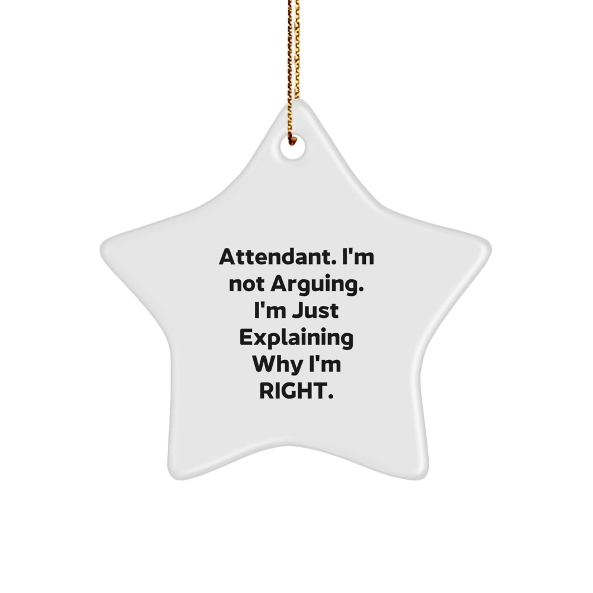 Funny Attendant Gifts from Friends, Star Ornament Christmas Unique Presents, I'm Not Arguing. I'm Just Explaining Why I'm Right. Decorations - Image 1
