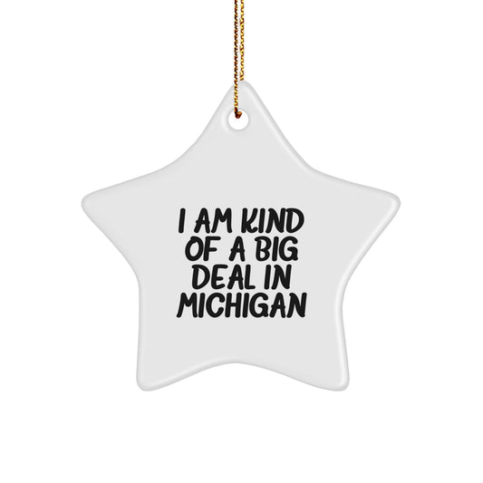 Unique Michigan Star Ornament Gifts from Family, Friends, or Coworkers for Men, Women, Michigan Enthusiasts, or Mitten State Lovers - I Am Kind Of A Prime Selection In Michigan - Image 1