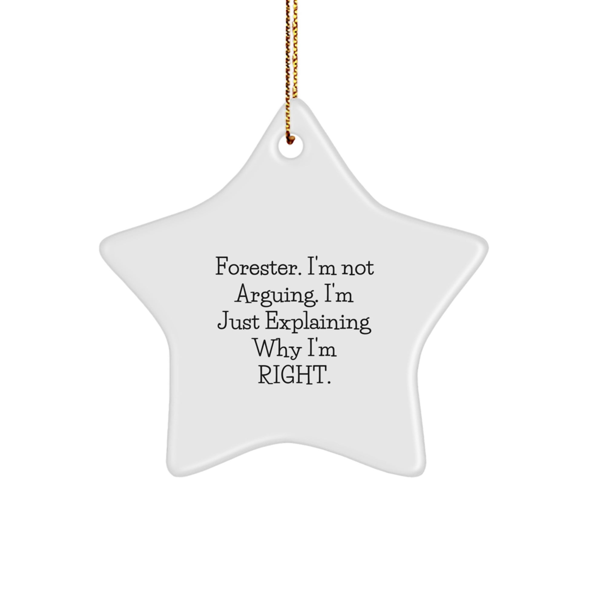 Unique Forester Gifts from Friends for Men Forester, Funny Star Ornament, Forester Christmas Unique Gifts - Image 1