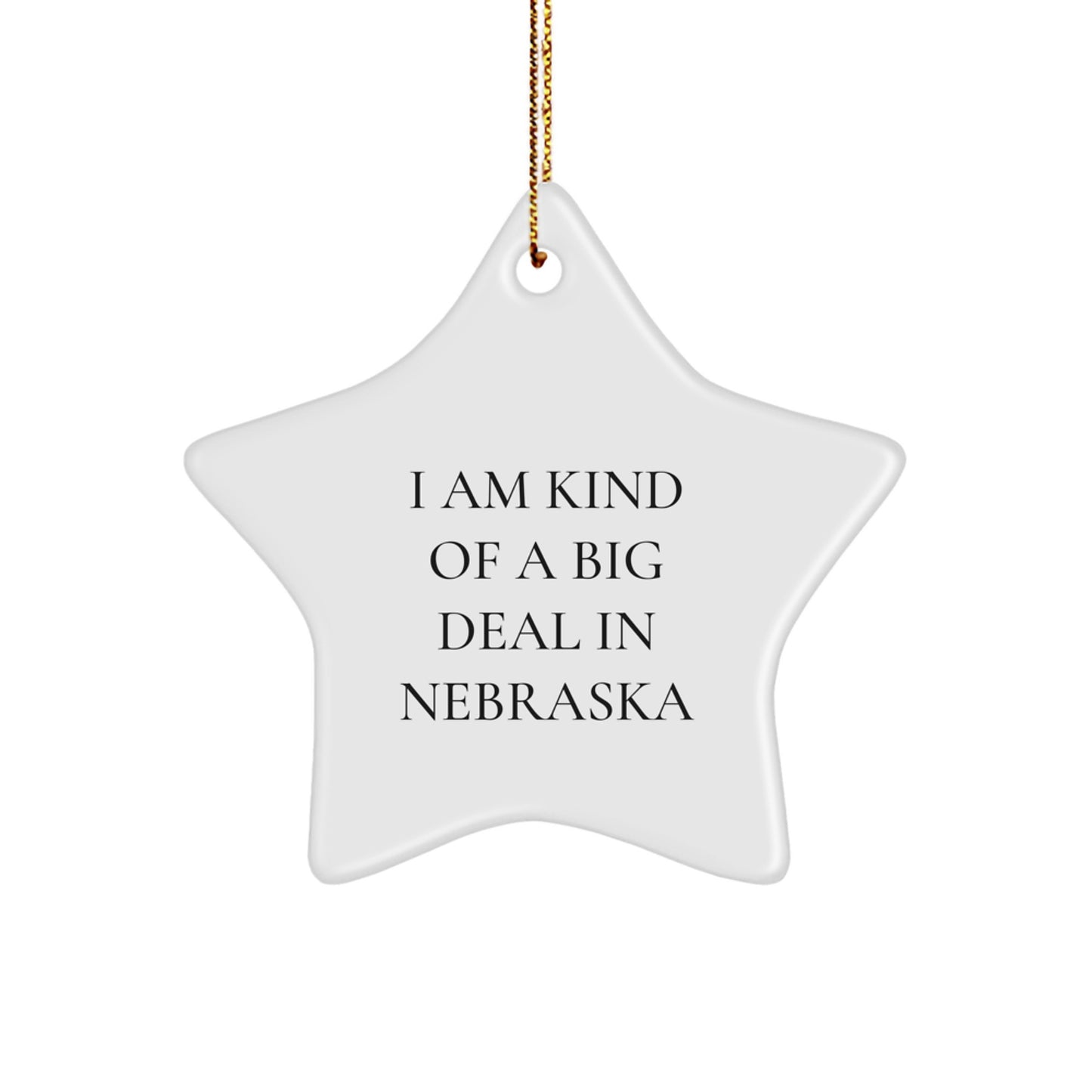 Funny Nebraska Star Ornament, Gifts from Men to Family, I Am Kind Of A Prime Selection In Nebraska Star Shaped Decor, White, Christmas Unique Gifts - Image 1