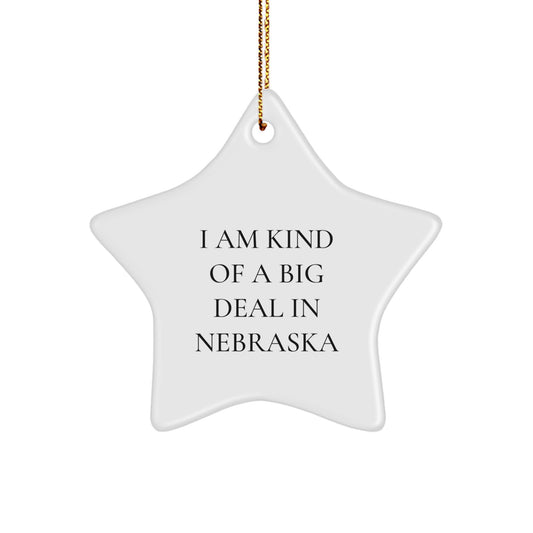 Funny Nebraska Star Ornament, Gifts from Men to Family, I Am Kind Of A Prime Selection In Nebraska Star Shaped Decor, White, Christmas Unique Gifts - Image 1