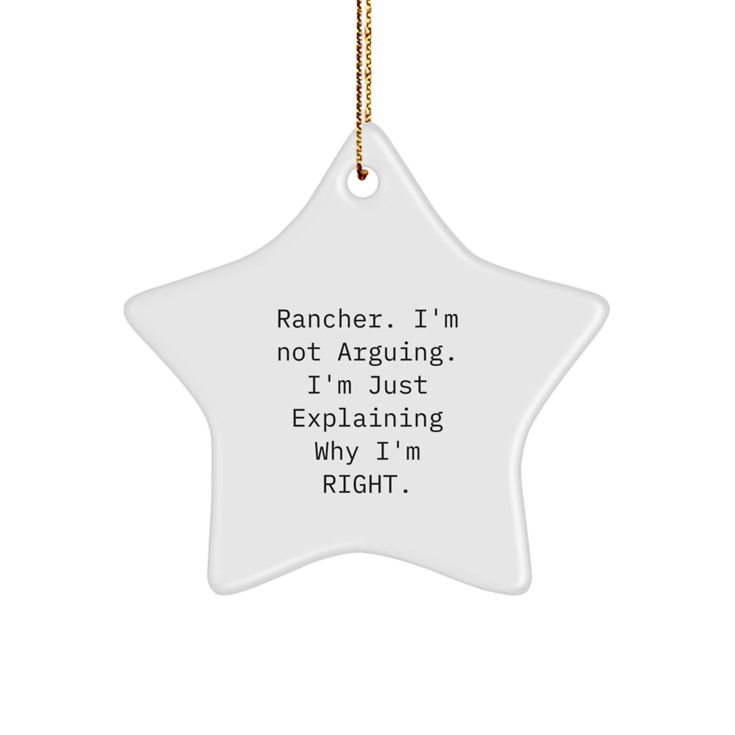 Funny Rancher Star Ornament Gifts from Men to Friends for Christmas Unique Gifts - Image 1