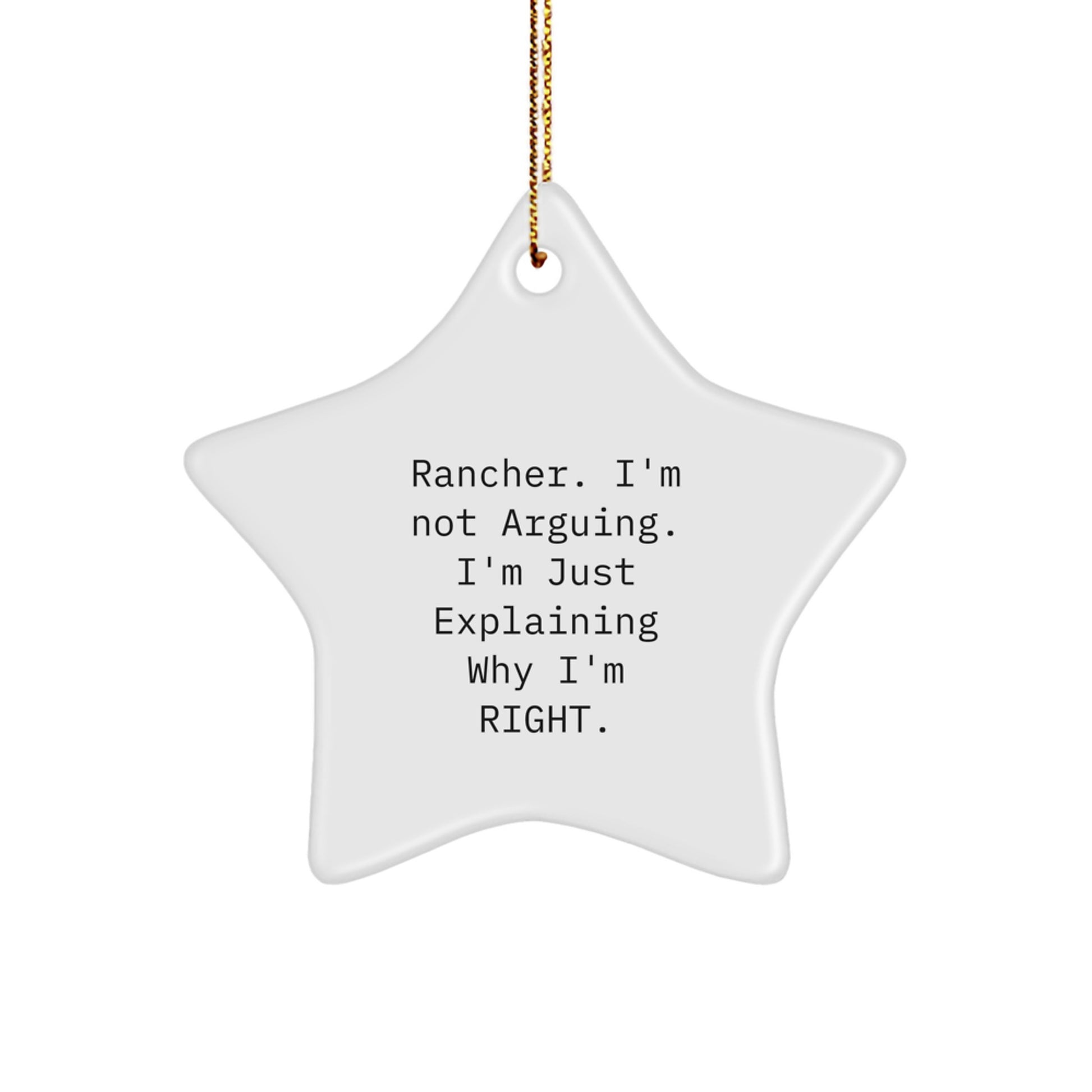 Funny Rancher Star Ornament Gifts from Men to Friends for Christmas Unique Gifts - Image 1