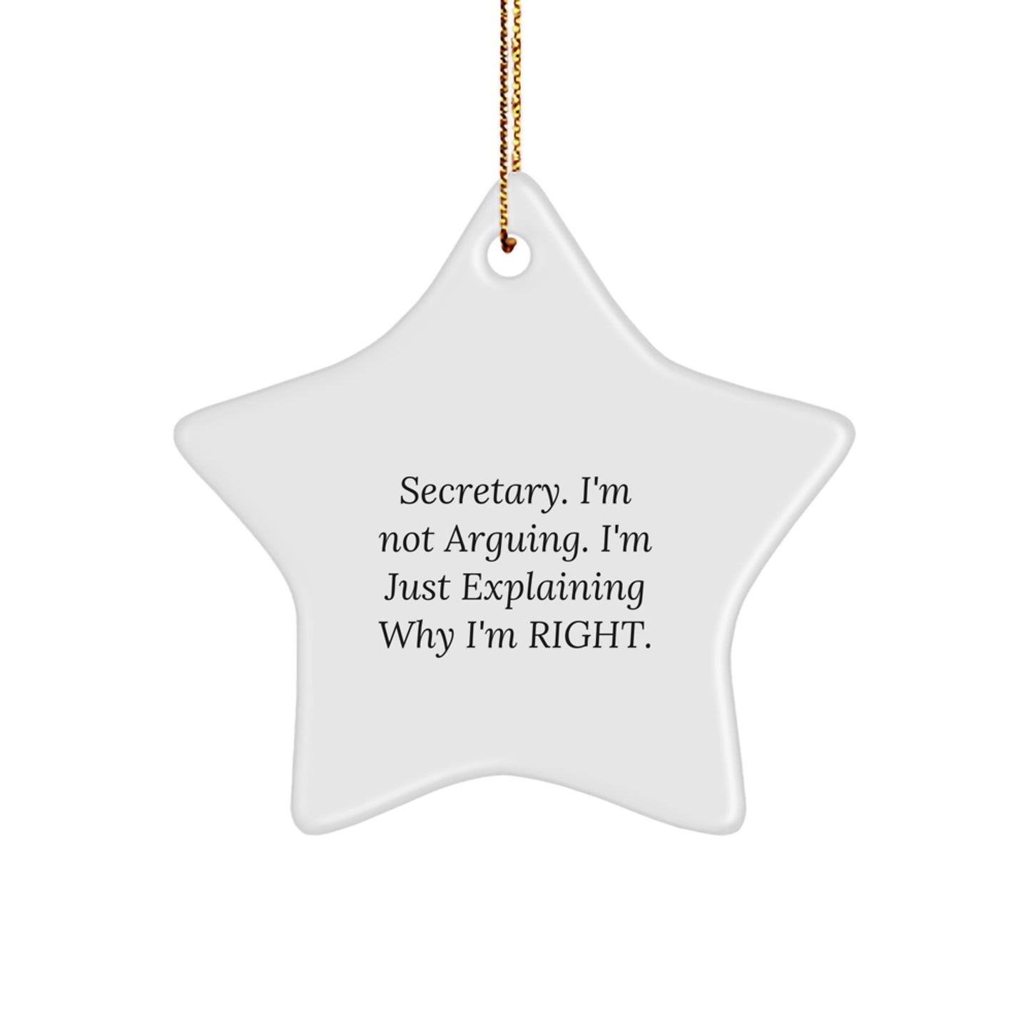 Funny Secretary Star Ornament Gifts from Family for Christmas Unique Star Decorations - Image 1