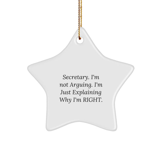 Funny Secretary Star Ornament Gifts from Family for Christmas Unique Star Decorations - Image 1
