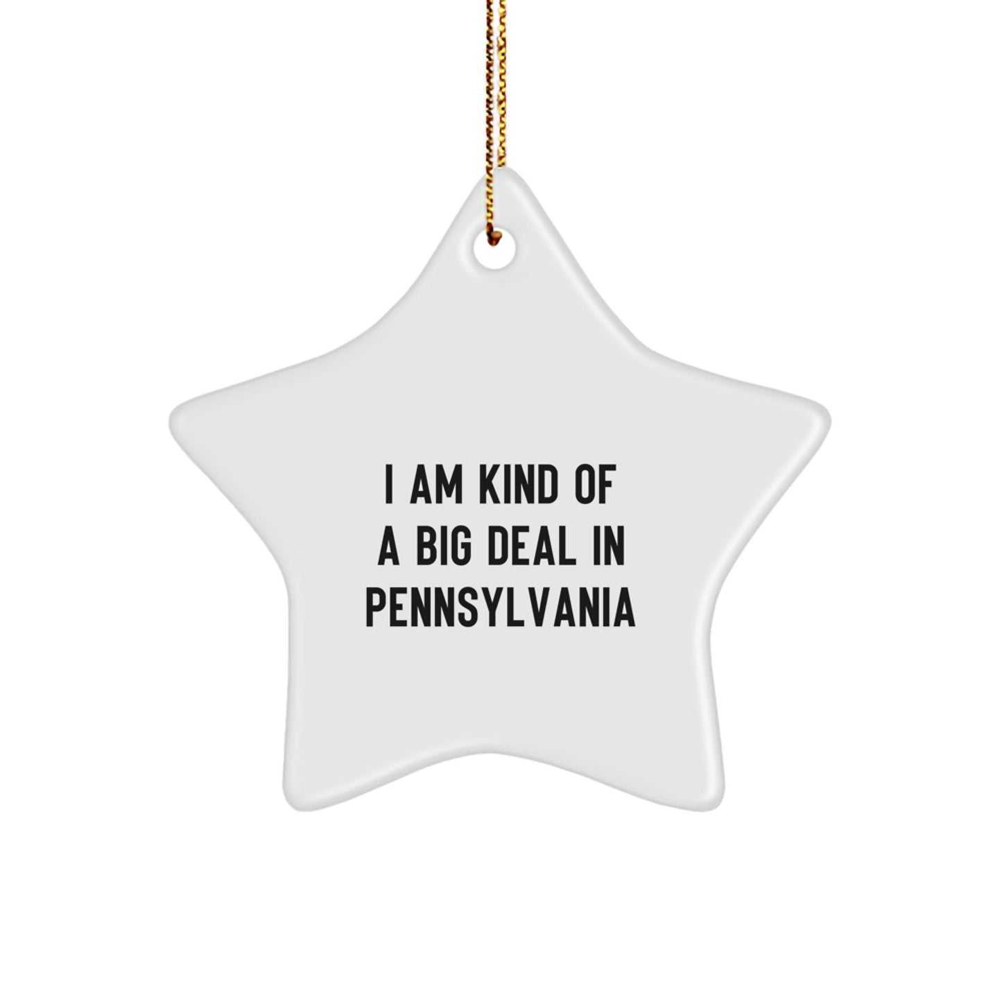 Funny Pennsylvania Star Ornament Gifts from Friends for Pennsylvania Men Women Family - Image 1