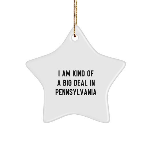 Funny Pennsylvania Star Ornament Gifts from Friends for Pennsylvania Men Women Family - Image 1
