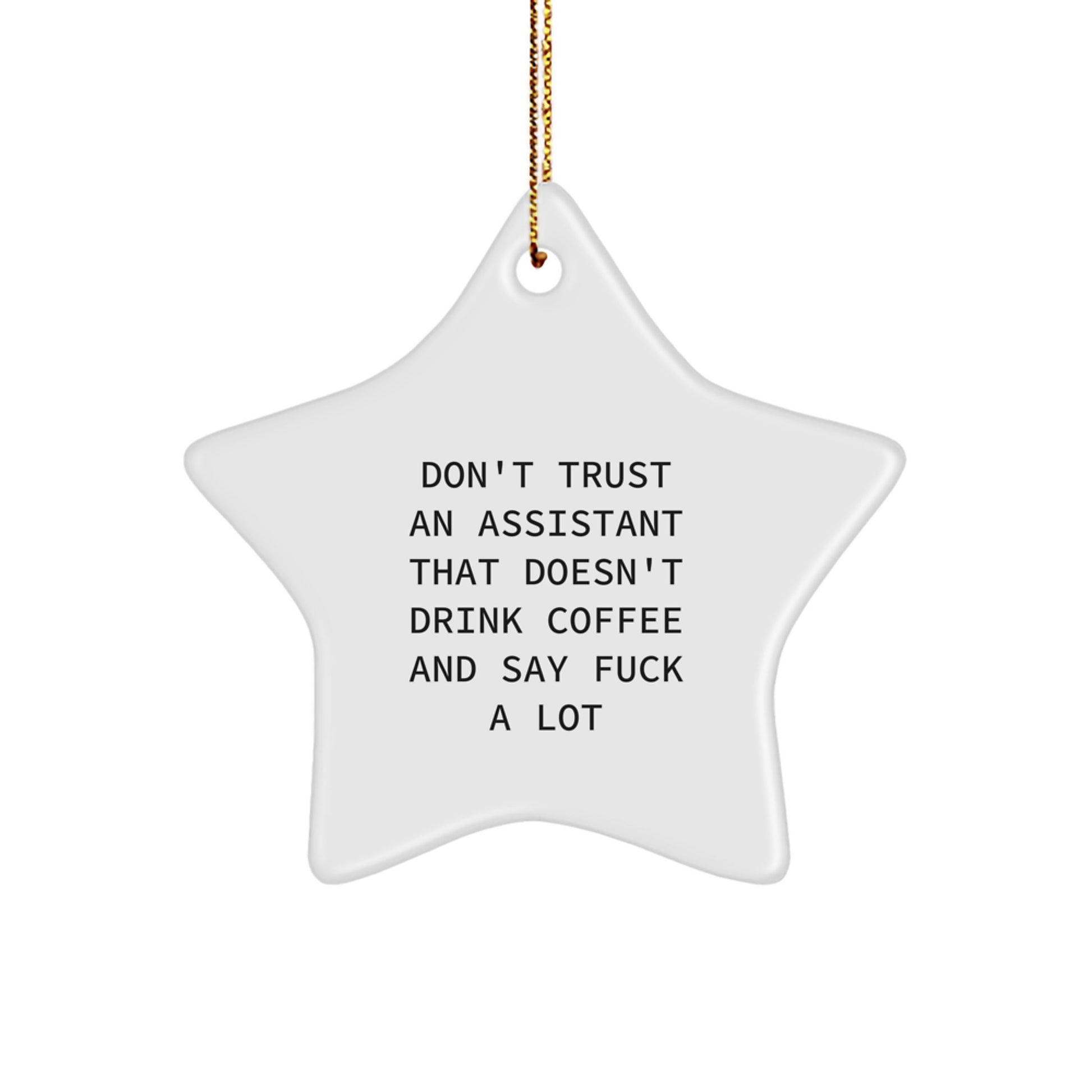 Funny Assistant Star Ornament for Friends Novelty Christmas Unique Gift - Image 1