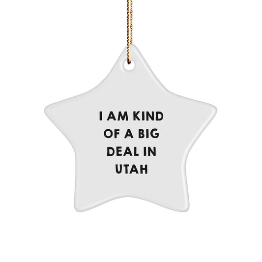 Utah Christmas Unique Gifts from Friends, Family, or Coworkers - Funny Star Ornament, White, Made with Love in Utah, I Am Kind Of A Prime Selection In Utah - Image 1