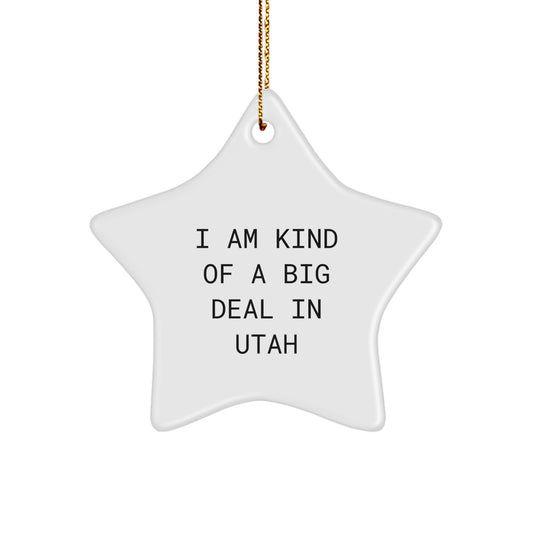 Utah Star Ornament, I Am Kind Of A Prime Selection In Utah, Funny Gift for Men Women Friends Family from Utah, Christmas Unique Gifts - Image 1