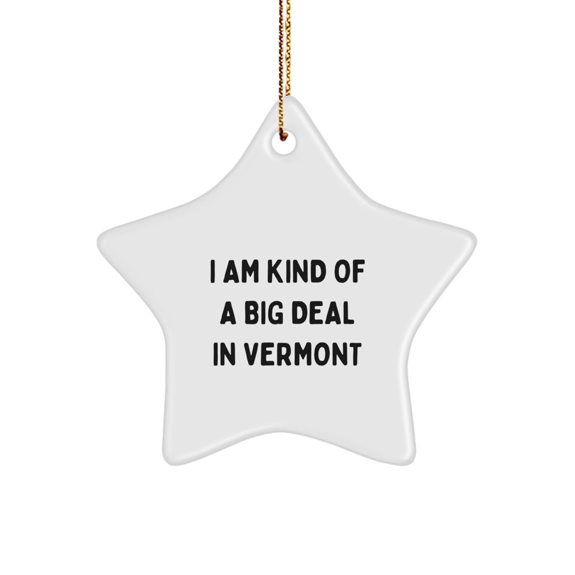 Vermont Star Ornament Funny Quote Gifts from Men to Vermont Lovers - Image 1