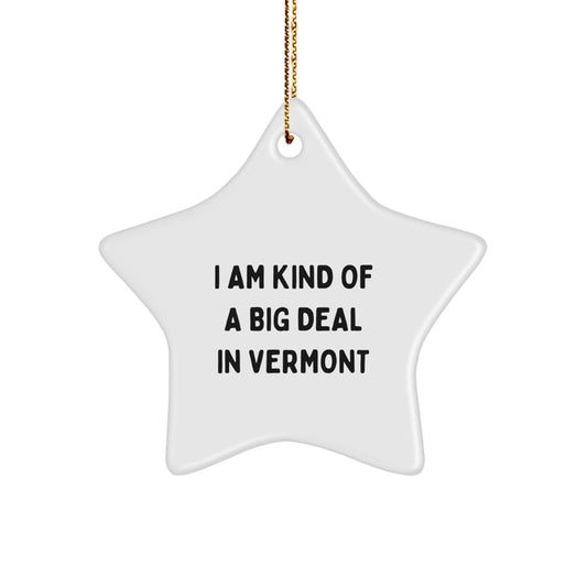 Vermont Star Ornament Funny Quote Gifts from Men to Vermont Lovers - Image 1