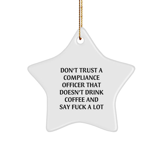Funny Compliance Officer Gifts for Compliance Officers, Unique Star Ornament for Compliance Officer Friends, Christmas Unique Gifts from Men to Compliance Officer Coworkers - Image 1