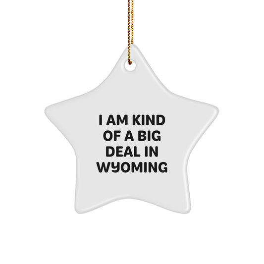 Wyoming Star Ornament, Funny Quote Gifts from Men to Friends for Christmas - Image 1