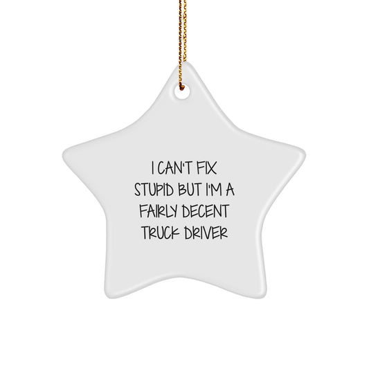 Funny Truck Driver Gifts, Unique Star Ornament for Men, I Can't Fix Stupid But I'm A Fairly Decent Truck Driver, Gifts for Truck Driver Husband, Christmas Unique Gifts from Friends, Family, Coworkers - Image 1