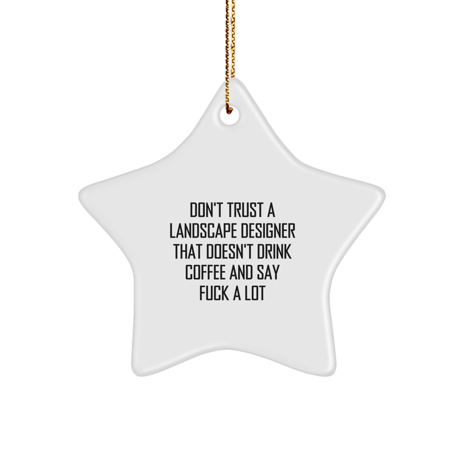 Landscape Designer Gifts - Funny Star Ornament, Gifts from Friends for Landscape Designer, Christmas Unique Gifts - Image 1