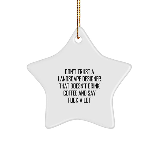 Landscape Designer Gifts - Funny Star Ornament, Gifts from Friends for Landscape Designer, Christmas Unique Gifts - Image 1