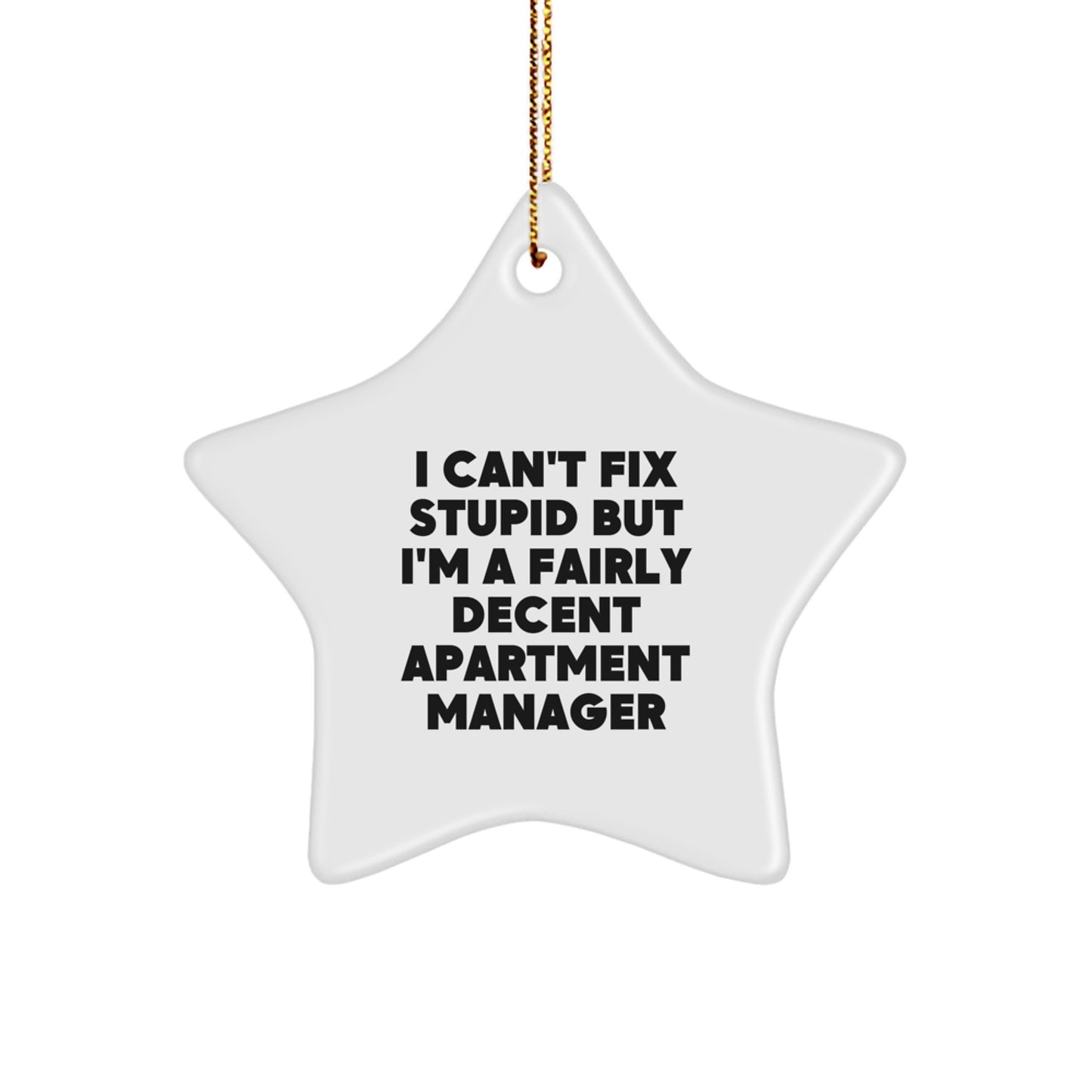 Funny Apartment Manager Gifts from Men to Friends - Christmas Unique Star Ornament I Can't Fix Stupid But I'm A Fairly Decent - Image 1
