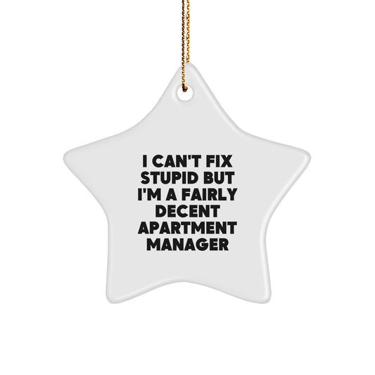 Funny Apartment Manager Gifts from Men to Friends - Christmas Unique Star Ornament I Can't Fix Stupid But I'm A Fairly Decent - Image 1