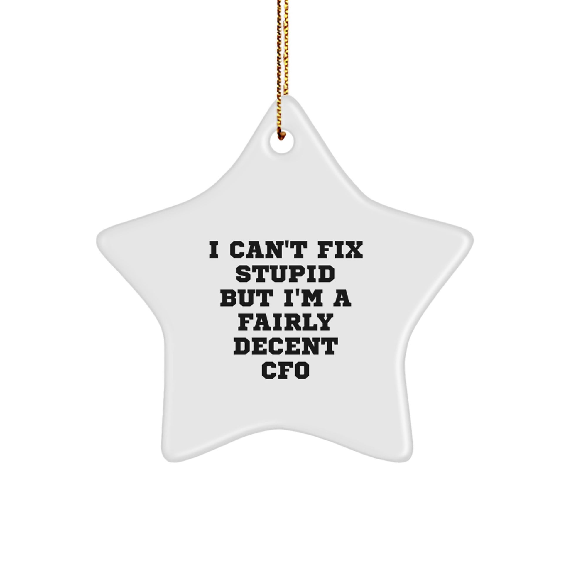 CFO Christmas Unique Gifts from Friends, Funny Star Ornament with 'I Can't Fix Stupid But I'm A Fairly Decent CFO' Quote for CFO, Gifts for CFO - Image 1