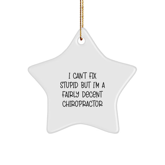 Funny Chiropractor Gifts, Star Ornament for Men, I Can't Fix Stupid But I'm A Fairly Decent Chiropractor, Christmas Unique Gifts from Friends - Image 1