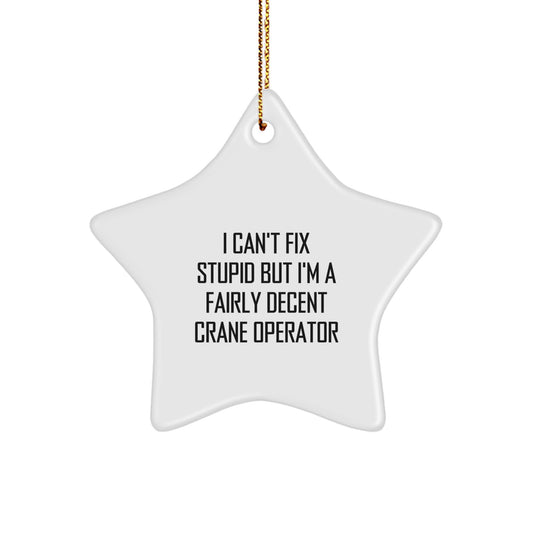 Funny Crane Operator Gifts for Men - Star Ornament with I 'Can't Fix Stupid' Quote, Christmas Unique Gifts from Family, Friends, Coworkers - Image 1
