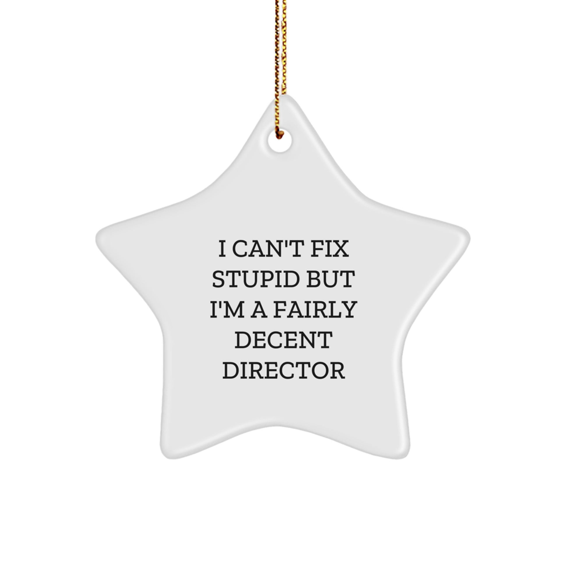 Funny Director Star Ornament, I'm A Fairly Decent Director Gifts for Directors, Christmas Unique Gifts from Friends and Family - Image 1