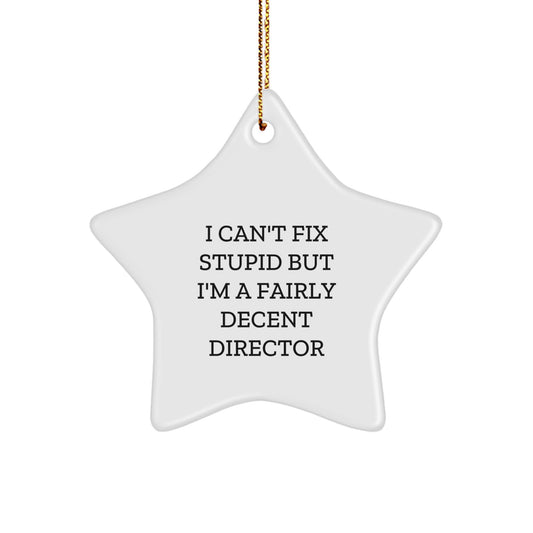 Funny Director Star Ornament, I'm A Fairly Decent Director Gifts for Directors, Christmas Unique Gifts from Friends and Family - Image 1