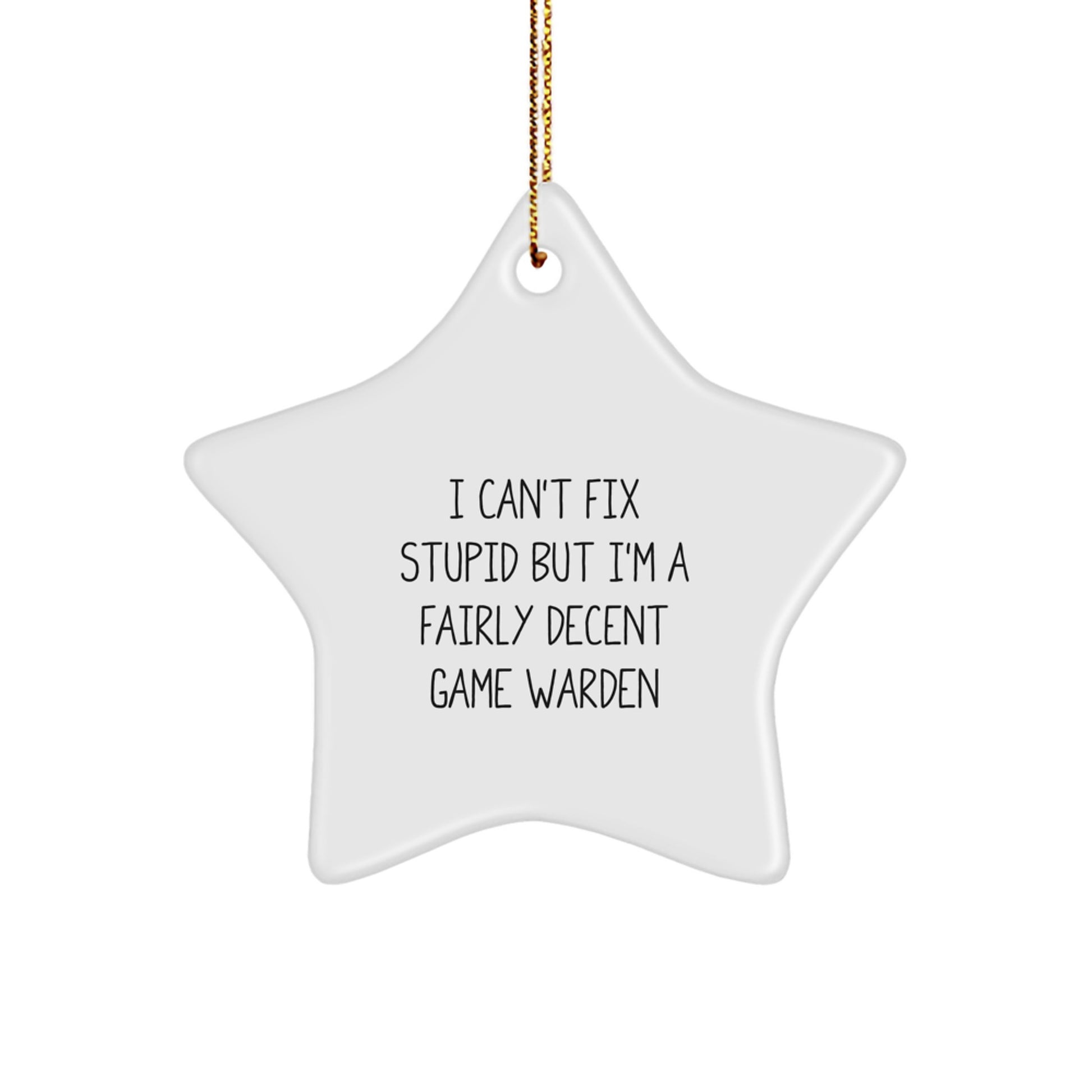 Funny Game Warden Gifts from Friends, Christmas Unique Star Ornament for Men, Women, Coworkers, or Family - I Can't Fix Stupid - Image 1