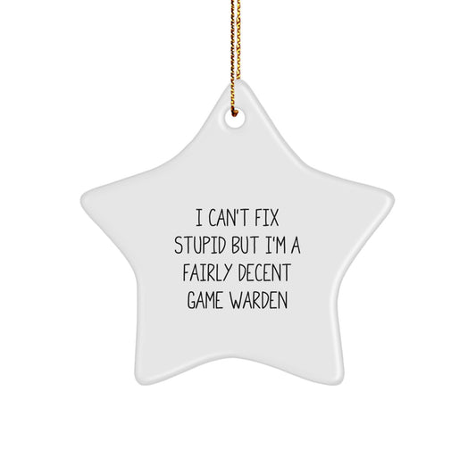 Funny Game Warden Gifts from Friends, Christmas Unique Star Ornament for Men, Women, Coworkers, or Family - I Can't Fix Stupid - Image 1