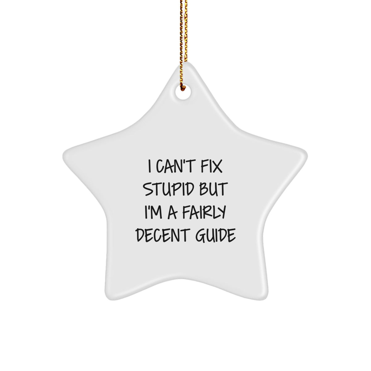 Guide Star Ornament I Can't Fix Stupid Novelty Christmas Unique Gift - Image 1