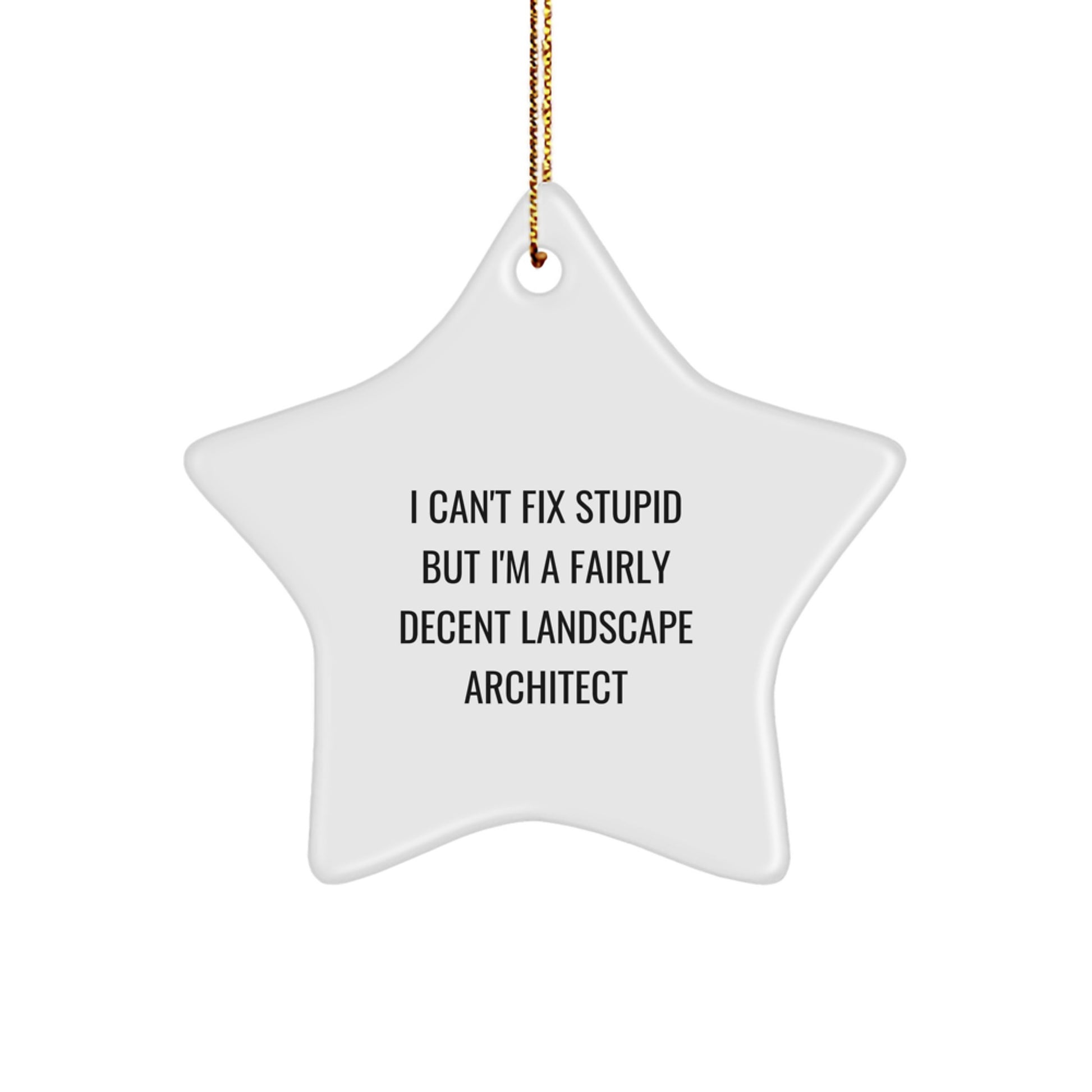 Funny Landscape Architect Star Ornament Gifts from Friends to Colleagues, Inspirational Office Decor for Christmas Unique - Image 1