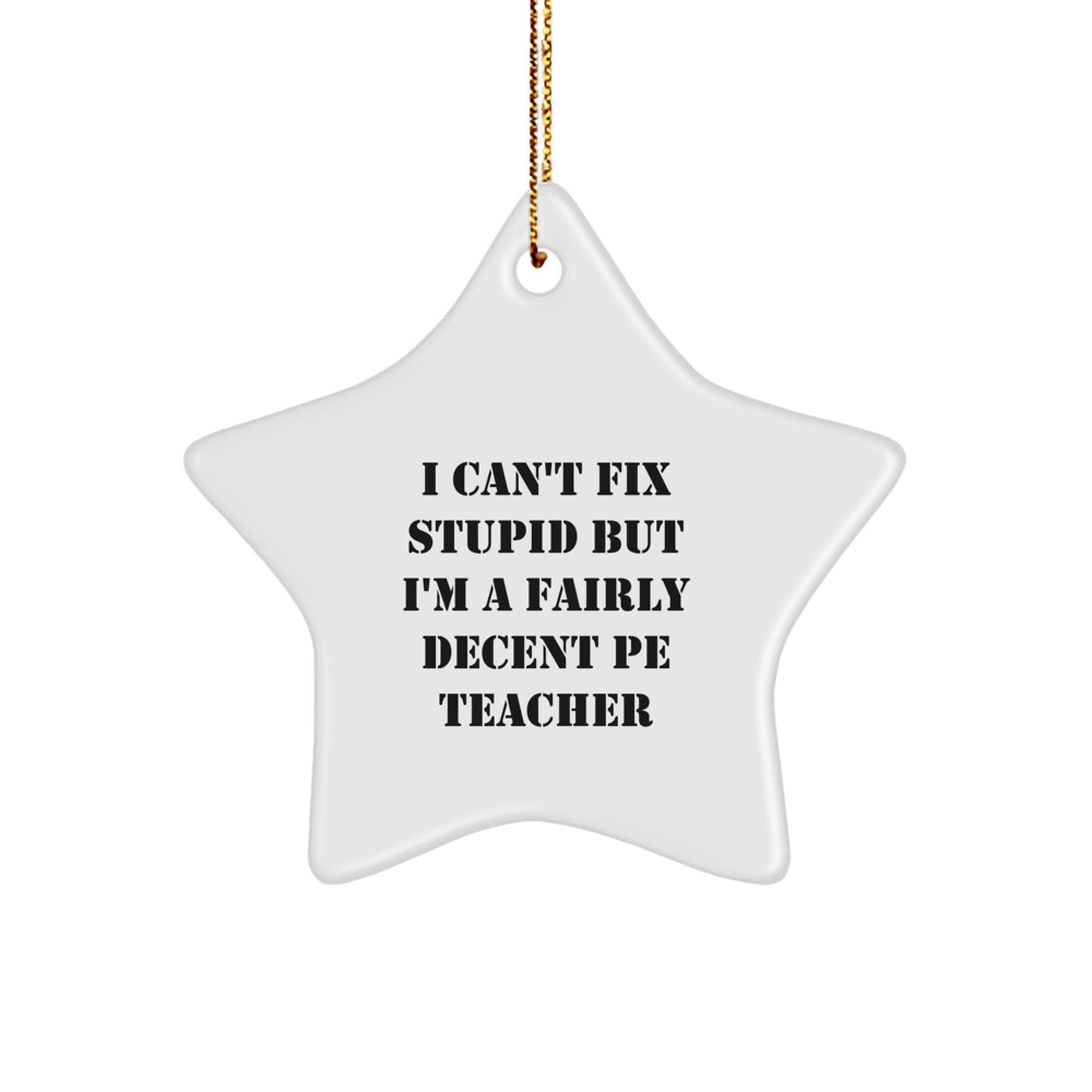 Funny PE Teacher Star Ornament, Gifts from Family for Men and Women, Inspirational Quotes, Christmas Unique Gifts, I Can't Fix Stupid But I'm A Fairly Decent PE Teacher Star - Image 1