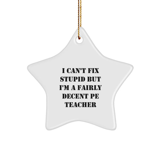 Funny PE Teacher Star Ornament, Gifts from Family for Men and Women, Inspirational Quotes, Christmas Unique Gifts, I Can't Fix Stupid But I'm A Fairly Decent PE Teacher Star - Image 1
