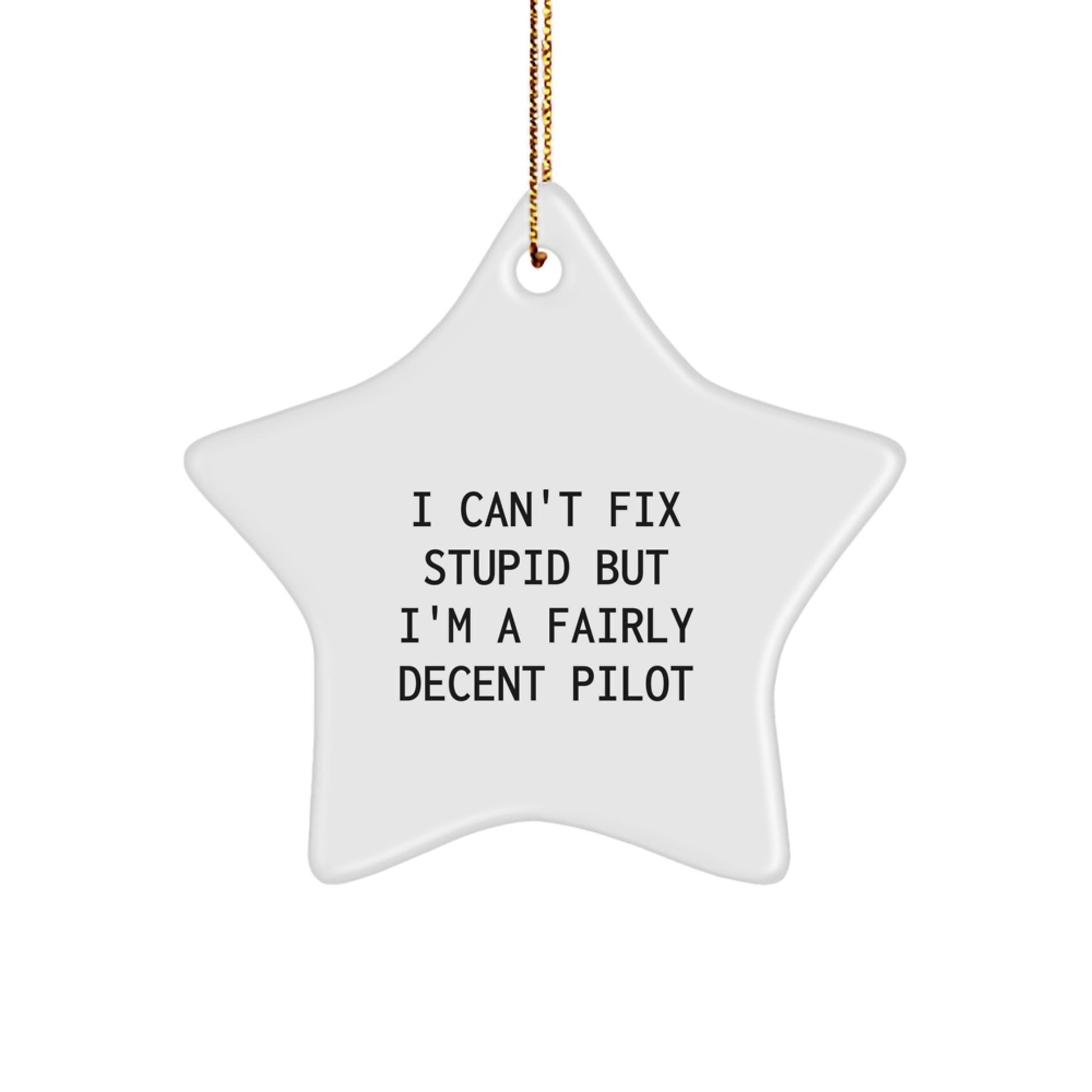 Pilot Gifts from Men to Friends - Star Ornament with Funny Quote I Can't Fix Stupid But I'm A Fairly Decent Pilot - Christmas Unique Gifts - Image 1