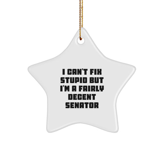 Funny Senator Christmas Unique Gifts - Inspirational Star Ornament Quote, Senator Men Gifts from, Star Shaped Decorations, Unique Christmas Unique Gifts for Senator Friends Family - Image 1