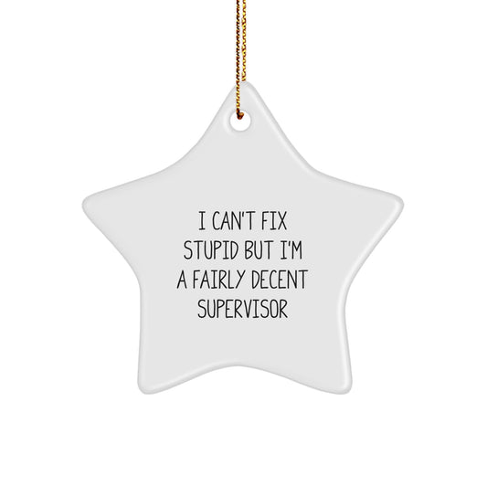 Funny Supervisor Gifts for Coworkers - I Can't Fix Stupid But I'm A Fairly Decent Star Ornament, Perfect for Christmas Unique Gifts from Men to Boss - Image 1