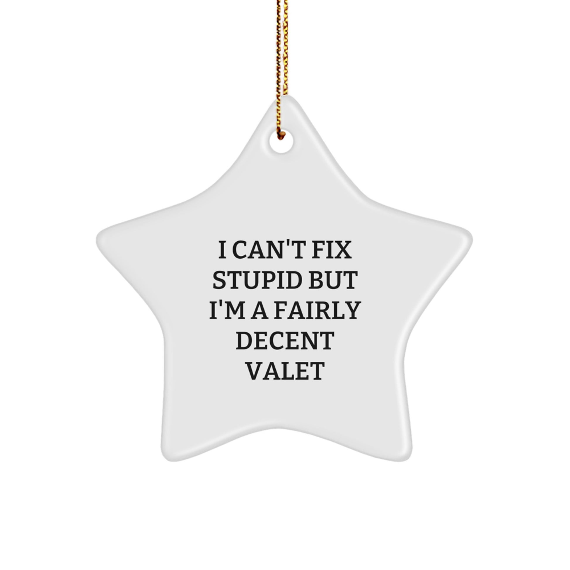 Funny Valet Gifts for Him, I Can't Fix Stupid But I'm A Fairly Decent Valet Star Ornament Christmas Decorations from Friends - Image 1