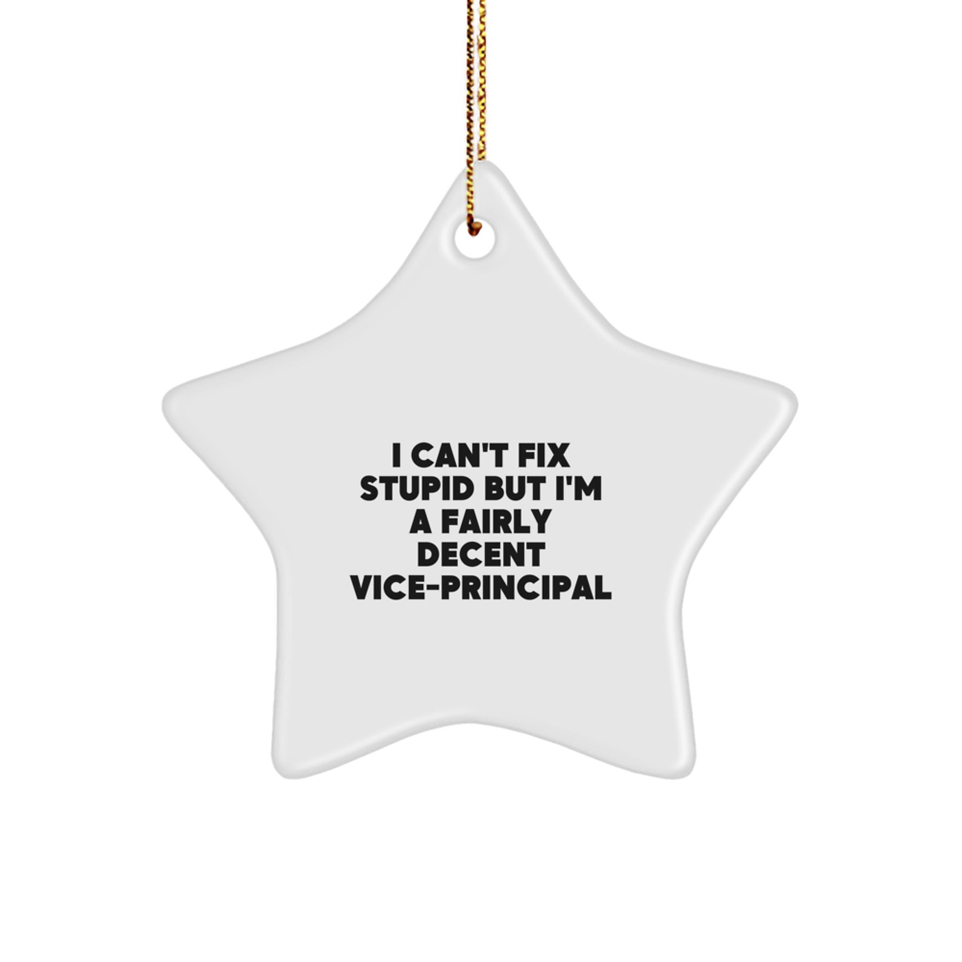 Vice-Principal Gifts for Christmas - I Can't Fix Stupid But I'm A Fairly Decent Star Ornament for Men, Women, Friends, Coworkers, Family - Image 1